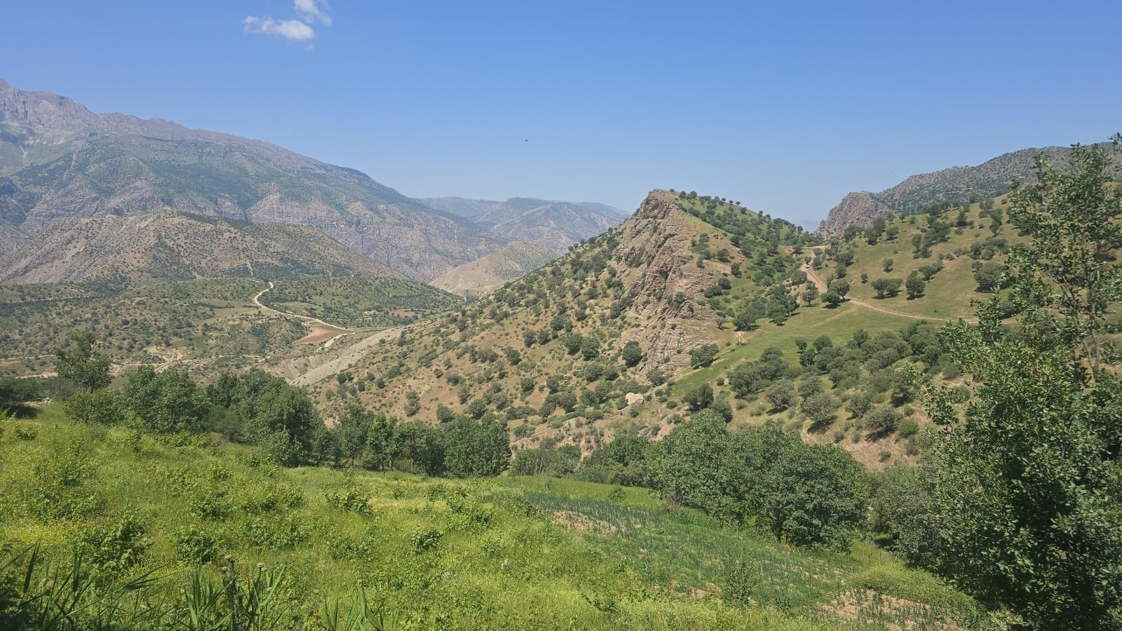 From Our Land to Your Table